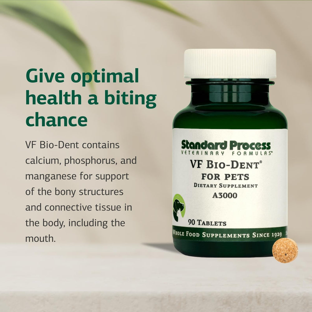 Standard Process VF Bio-Dent : comprimés chien, soutien possible à la croissance osseuse.