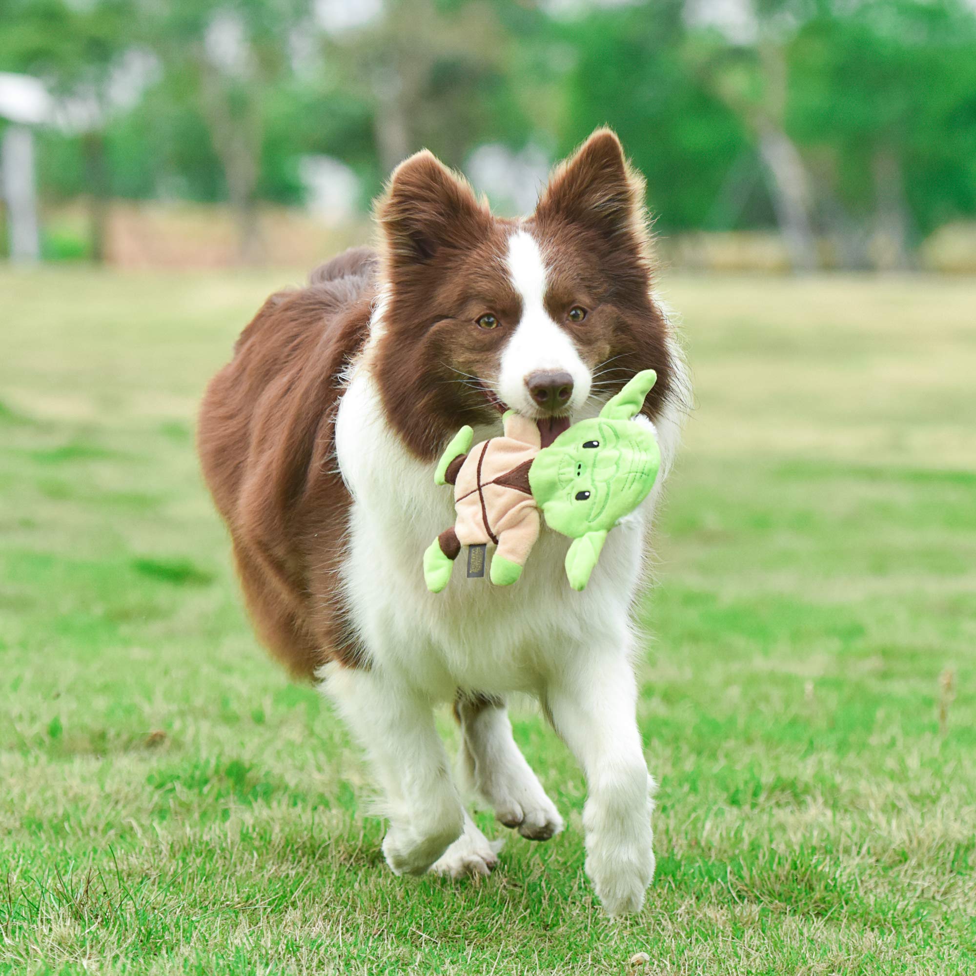 STAR WARS Yoda Flattie tissu durable avec détails brodés, pratique et longévité.