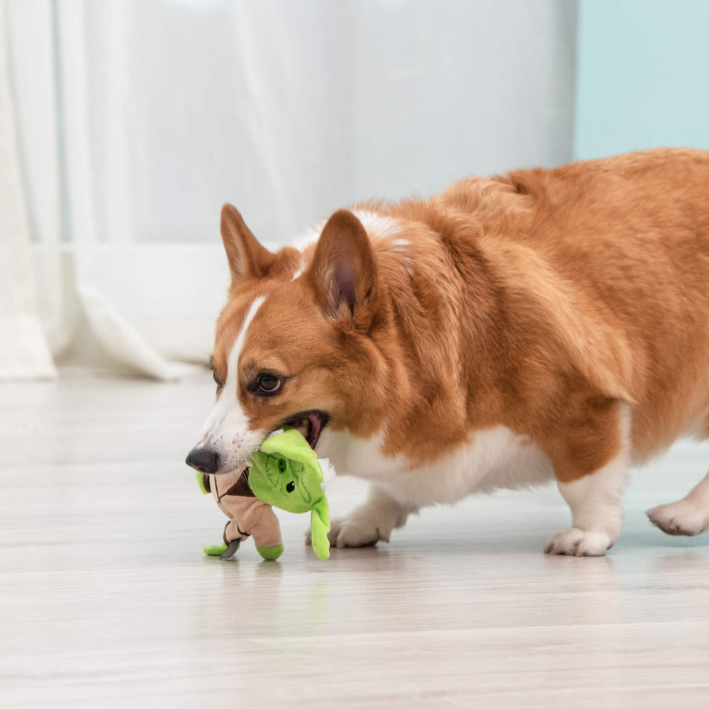 STAR WARS Yoda Flattie conçu sans plastique dur, sécurisant pour les jeux quotidiens.