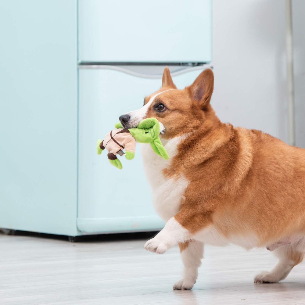 STAR WARS Yoda Flattie sans plastique dur, jouet sûr pour chiens actifs.