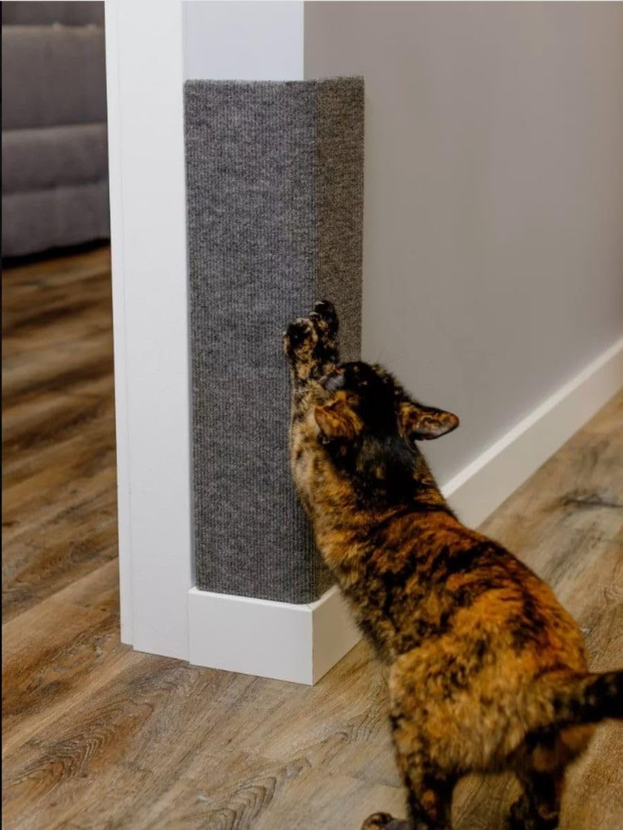 STARJESS Griffoir d’angle pour chats – coin mural, protège murs et meubles.