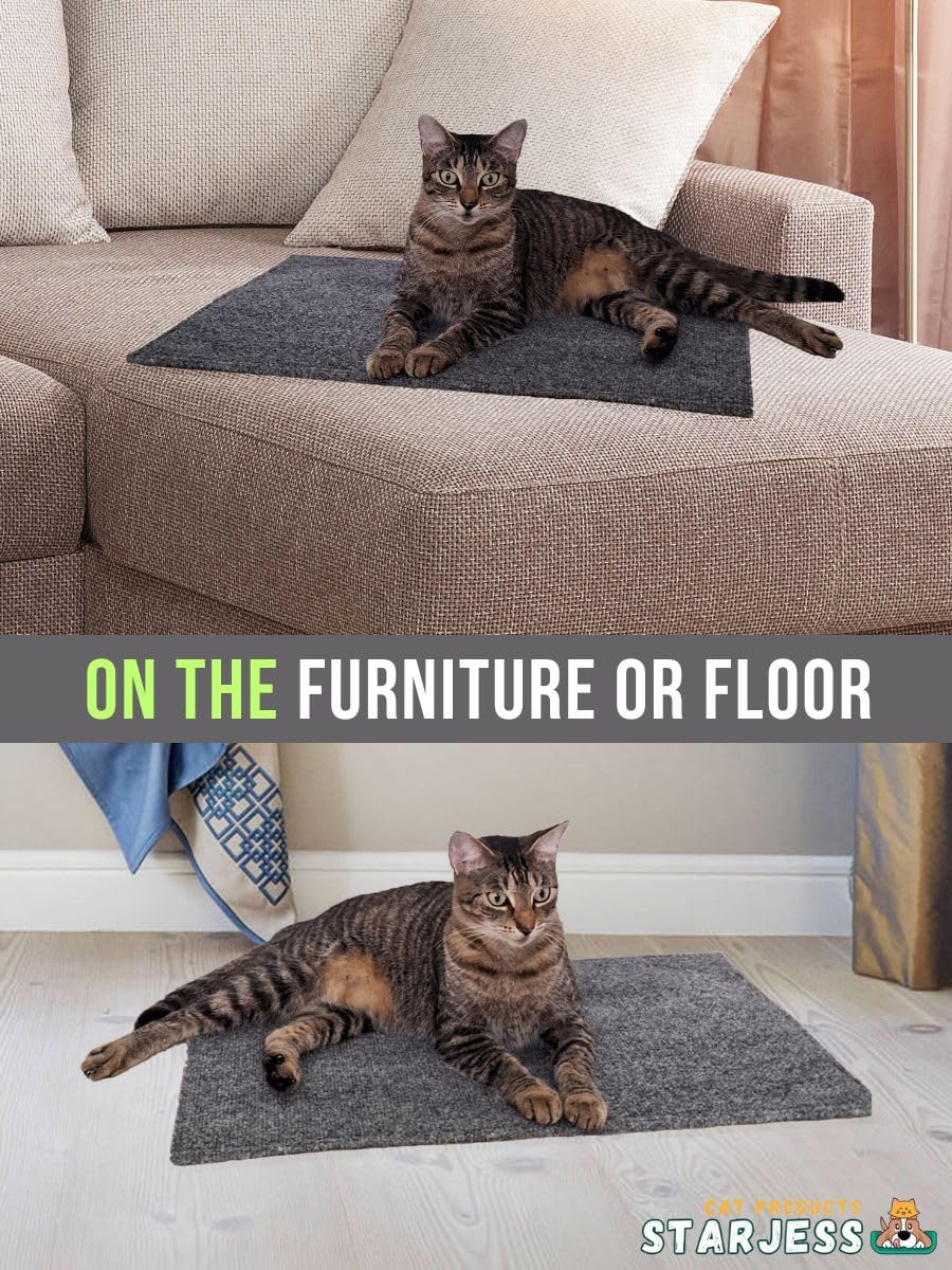STARJESS Herbe à chat intégrée – attire le chat pour griffage.