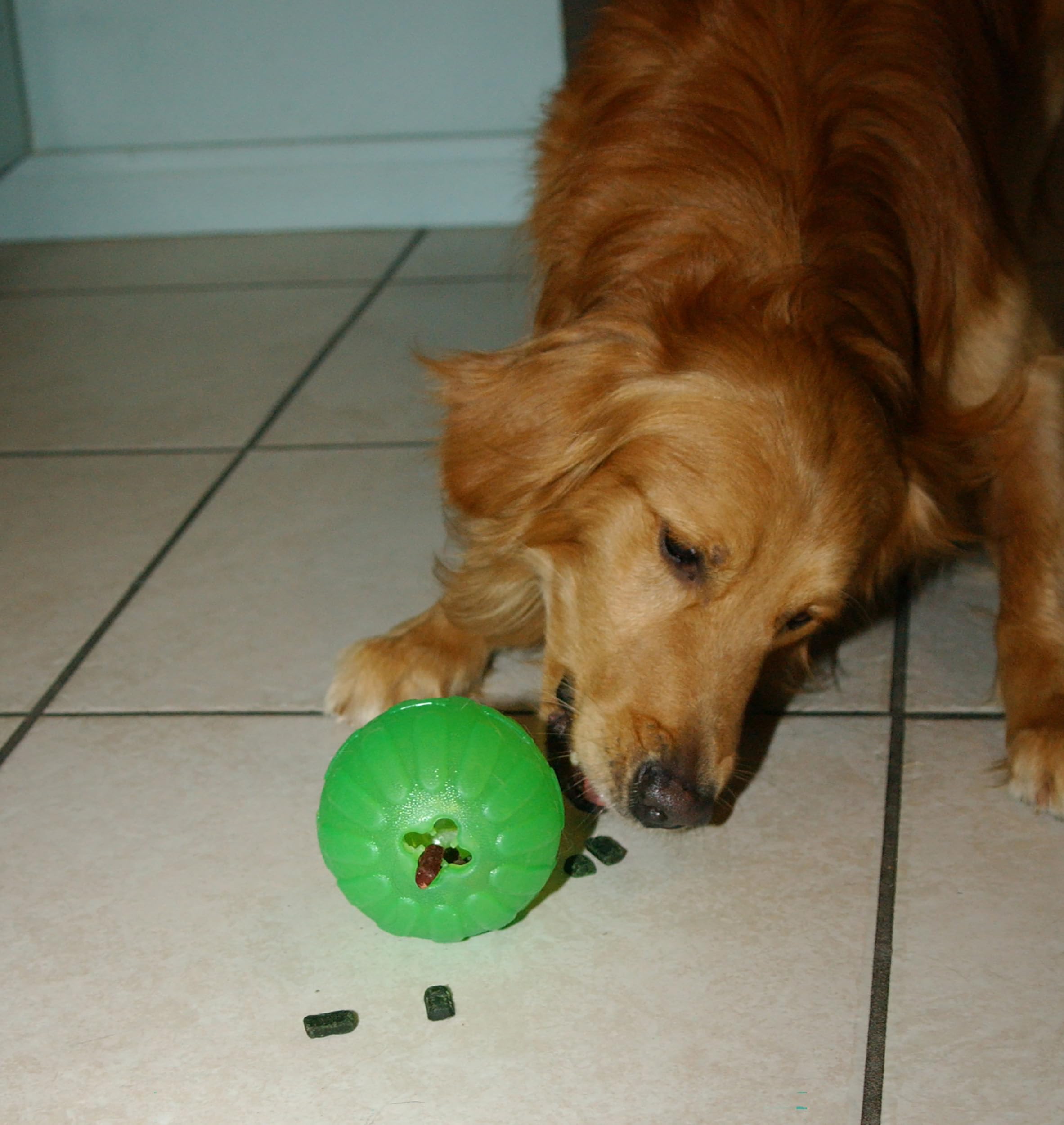 Balle robuste et légère Starmark, adaptée aux chiens actifs.