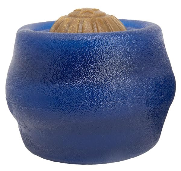 Jouet lavable au lave-vaisselle pour un entretien pratique.