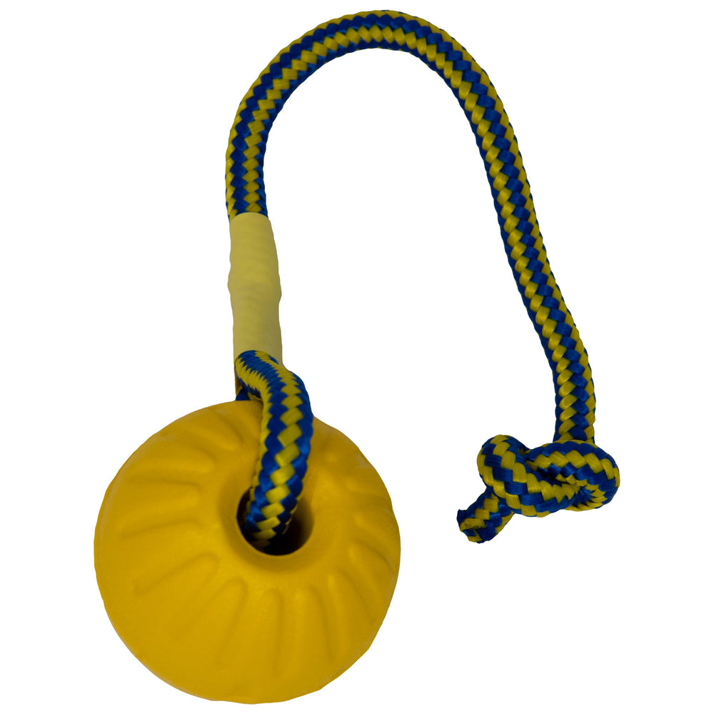 Starmark Swing 'n Fling: balle flottante pour récupérer dans l eau