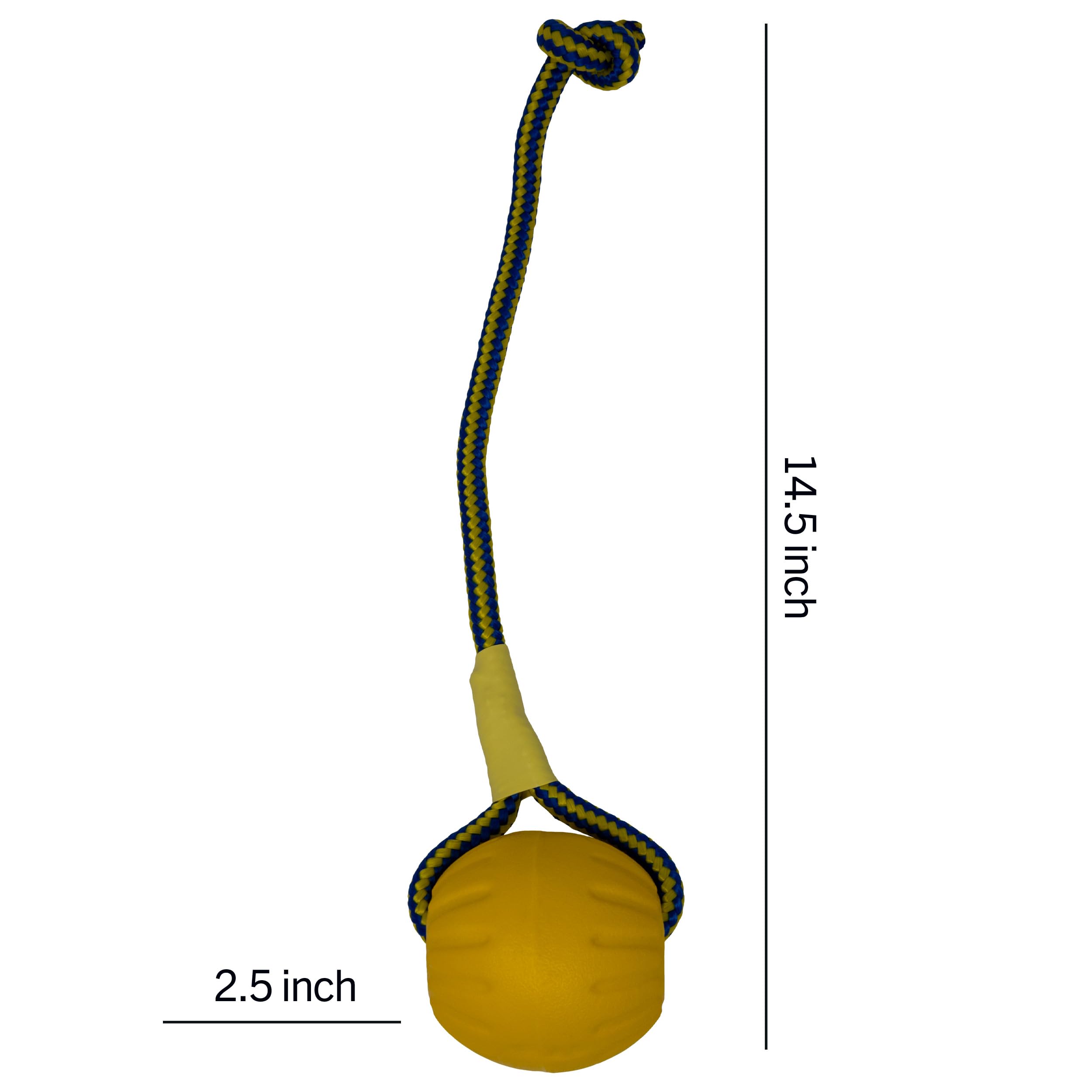 Starmark Swing 'n Fling: design durable sans coque à mâcher