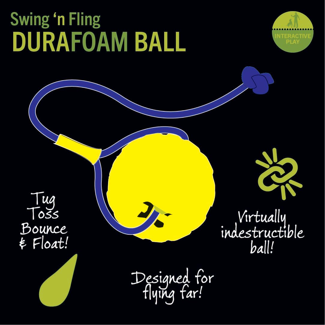 Starmark Swing 'n Fling: tailles médium et large pour toutes les tailles de chiens