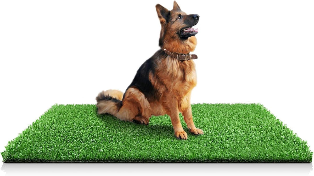 STARROAD-TIM zone toilettage chien 59,1 x 39,3 — pratique pour l'apprentissage sans salissures.