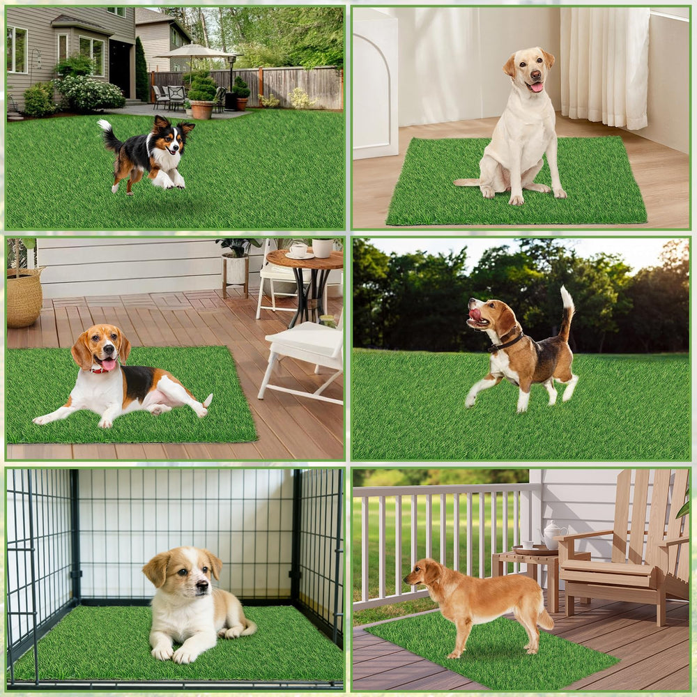 Starroad-TIM tapis herbe artificielle 76x50 cm, dimensions adaptées pour chiens.