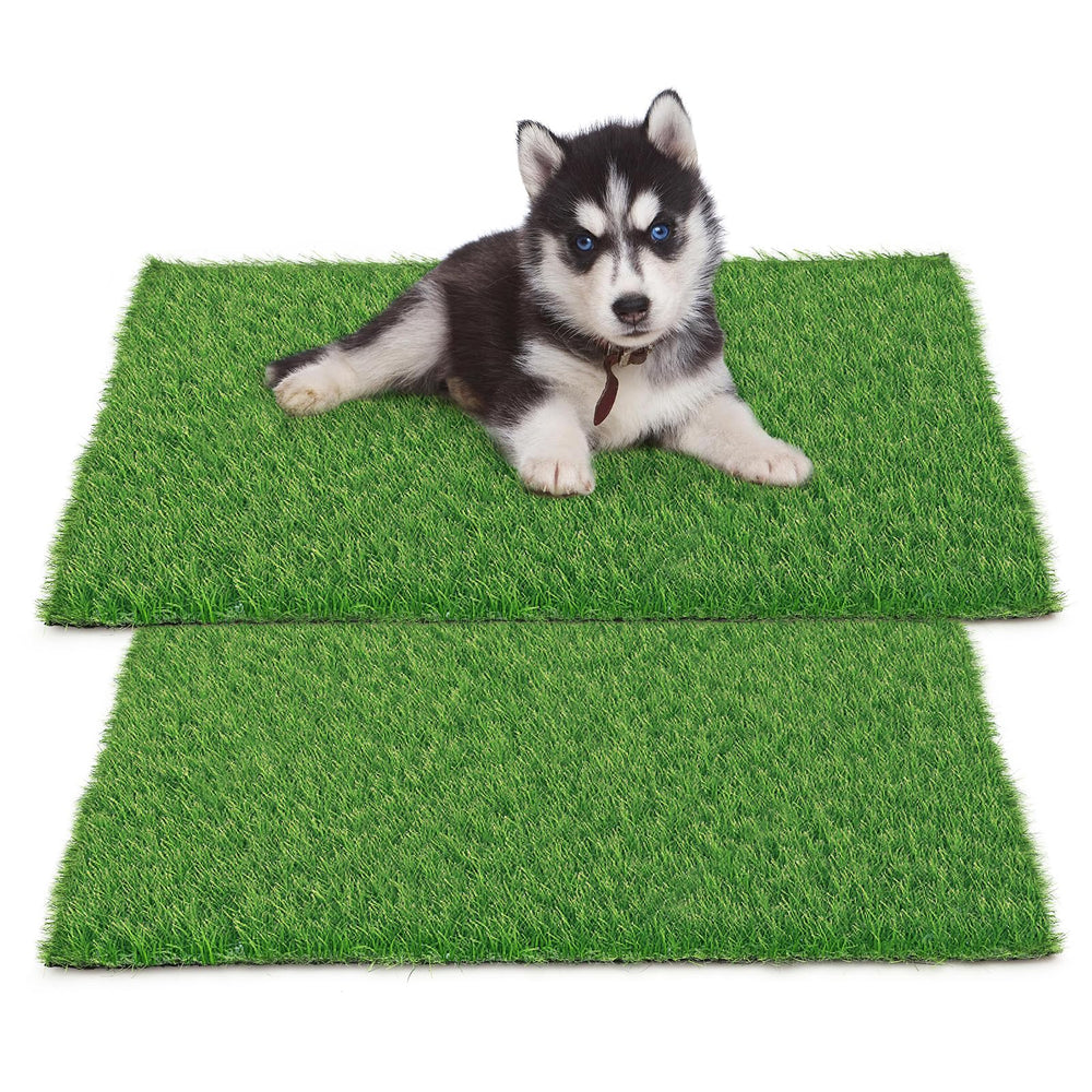 Starroad-TIM tapis herbe artificielle pour chien, lot de 2, idéal pour l'entraînement.