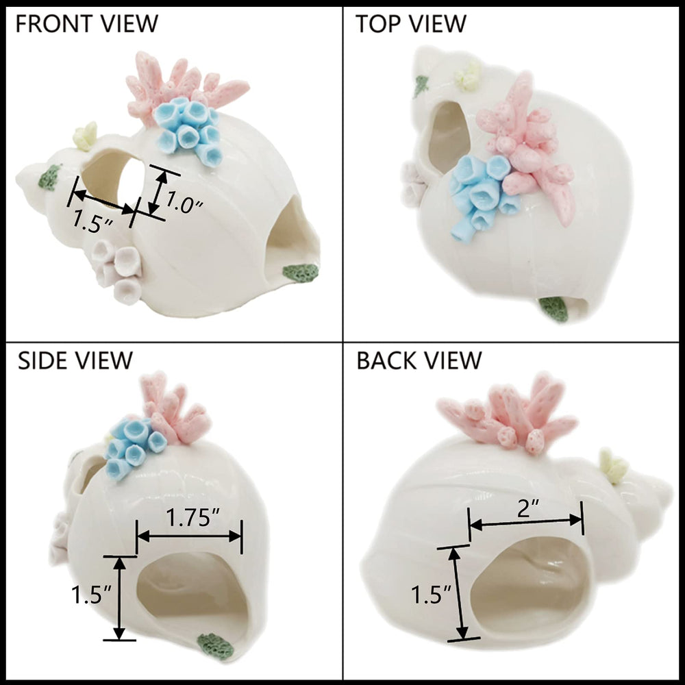 Starryfill conque Betta, accessoire sûr offrant refuge discret pour Betta et autres poissons.