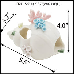 Conque en céramique blanche Starryfill, décor élégant pour réservoir 5 à 50 gallons.
