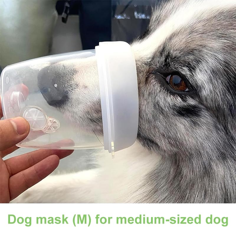Ensemble STARSUM d'oxygène pour chien moyen, prêt à l'emploi et facile à transporter.