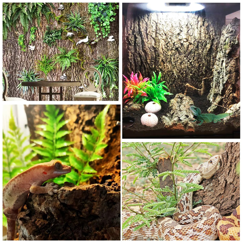 STARVAST habitat-naturel-terarium : oasis naturelle qui enrichit l'environnement des animaux.