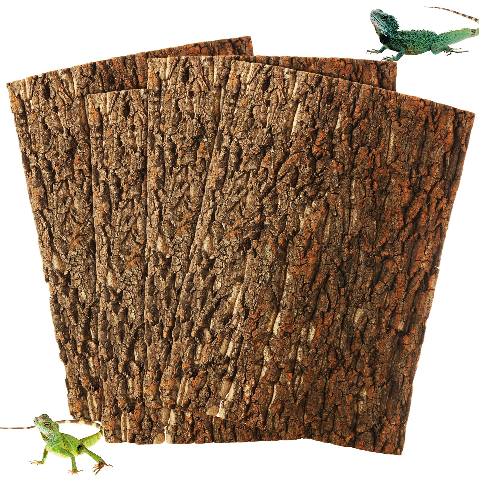 STARVAST liege-terarium-arriere-plan-ensemble : décor naturel et installation facile pour votre terrarium.