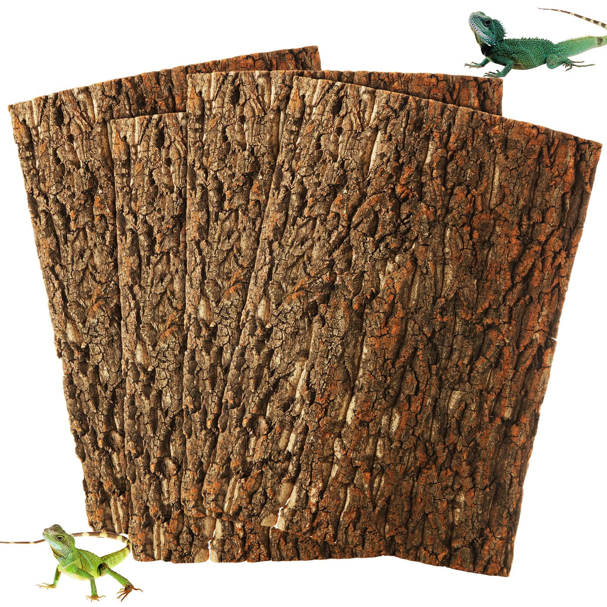 STARVAST liege-terarium-arriere-plan-ensemble : décor naturel et installation facile pour votre terrarium.