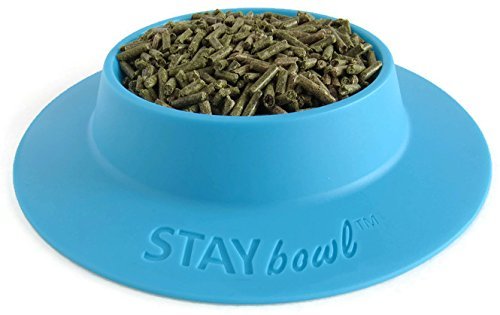 STAYbowl bleu ciel bol facile a nettoyer reduction du gaspillage