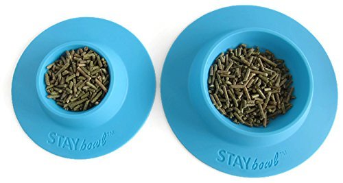 STAYbowl bleu ciel bol cobayes pour legumes maintien propre du repas