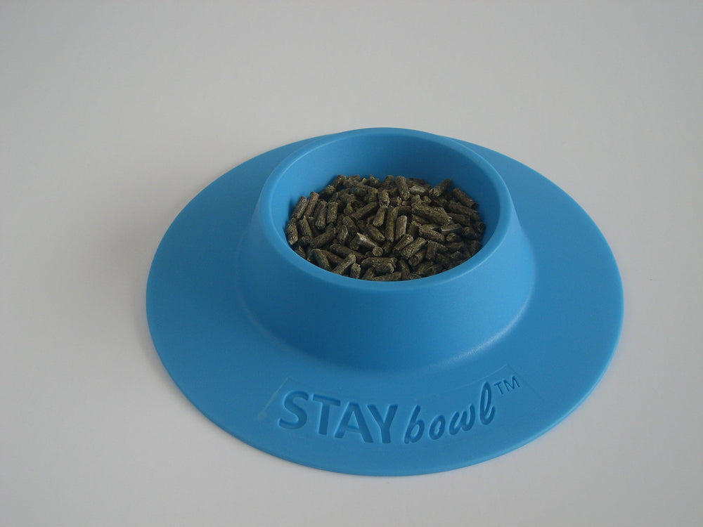 STAYbowl bol ergonomique anti-debordement conçu pour cochons-d-inde et autres petits animaux.