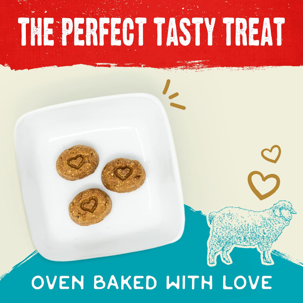 Stella & Chewy's Biscuits ingrédients frais – ingrédients de qualité pour chien