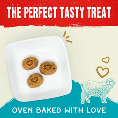 Stella & Chewy's Biscuits ingrédients frais – ingrédients de qualité pour chien