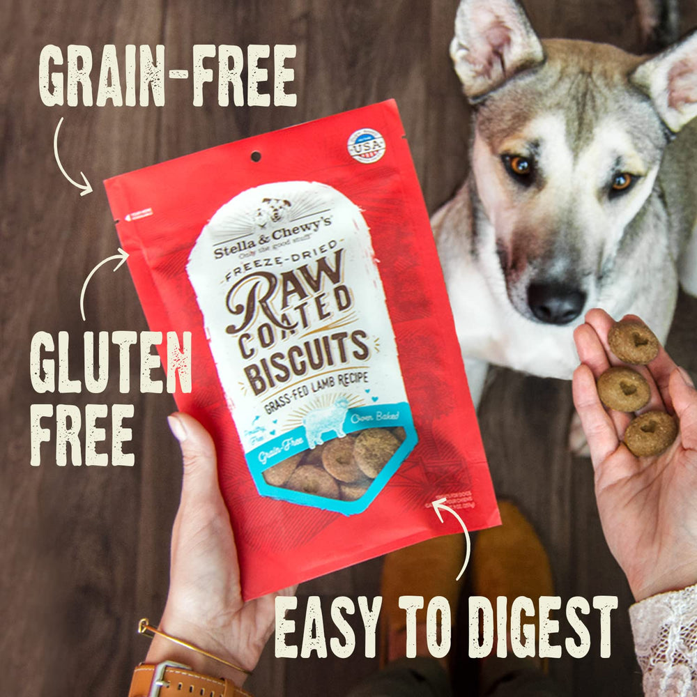 Stella & Chewy's Biscuits peau-poil – soutien potentiel pour peau et pelage
