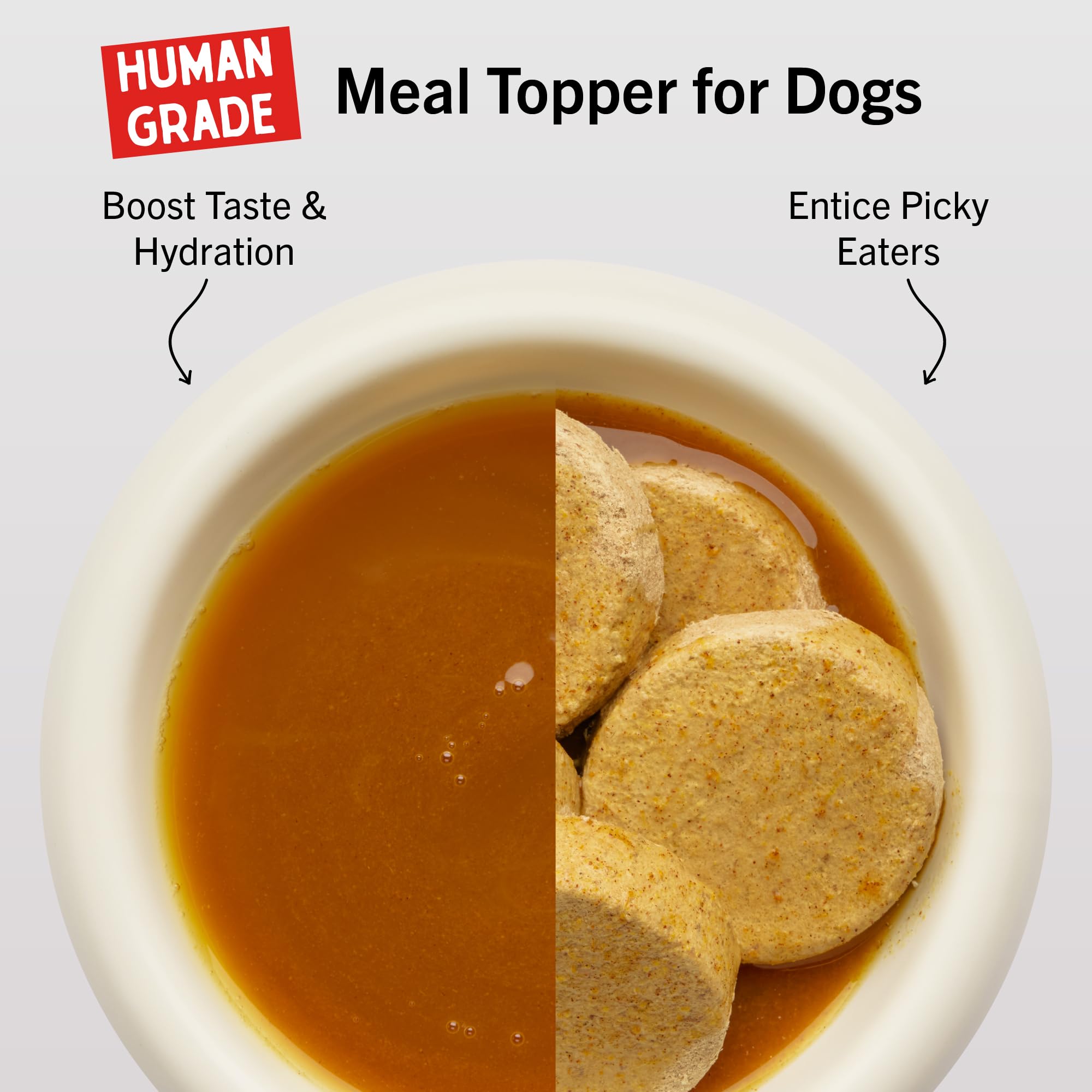 Verse dans un bol: bouillon hydratant et savoureux pour chien.
