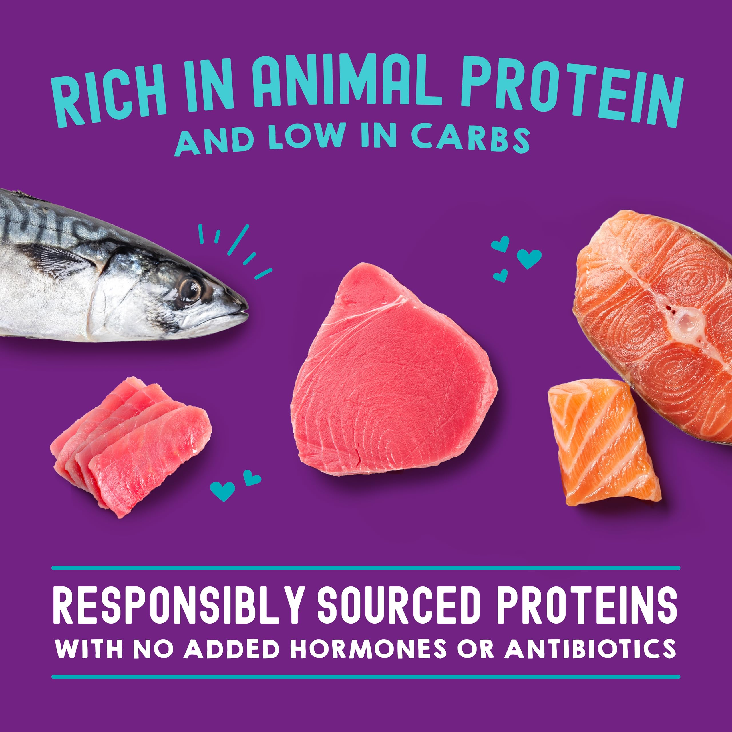 Bouillon savoureux enveloppant les morceaux dans Carnivore Cravings, expérience sensorielle riche