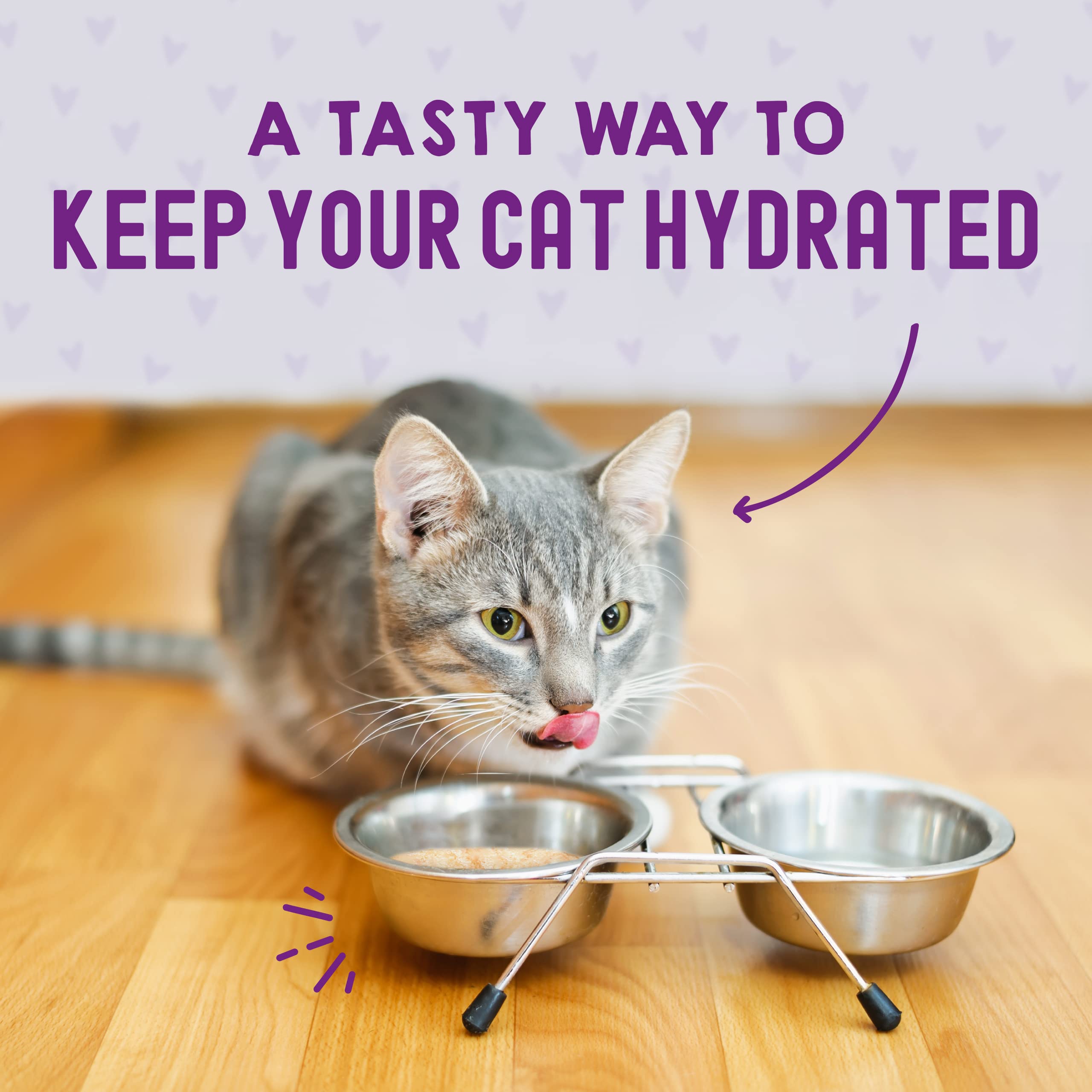 Stella & Chewy's Carnivore Cravings Transition alimentaire facile pour chats exigeants.
