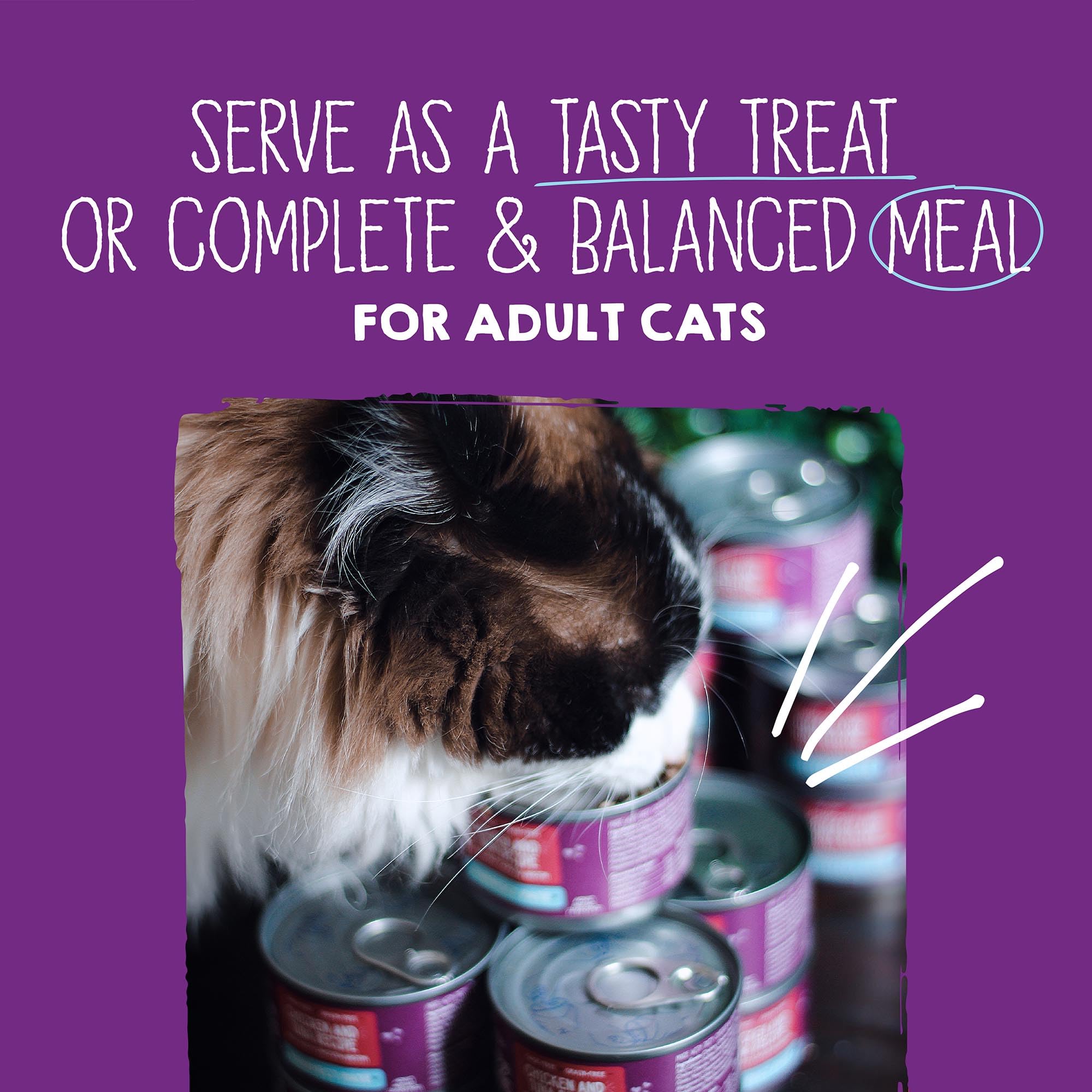 Stella & Chewy's Pâté portion 2,8 onces : format pratique pour repas