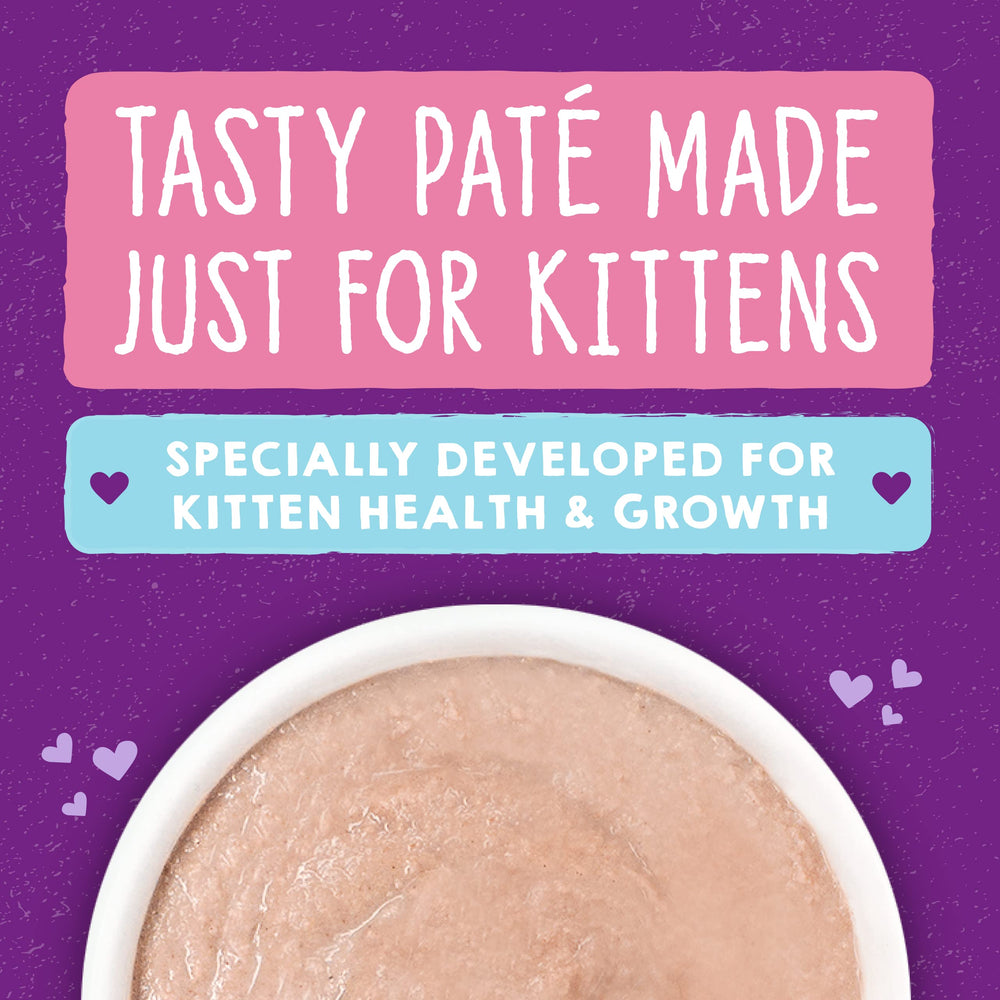Texture crèmeuse du paté Stella & Chewy's, idéale pour stimuler l'appétit des chatons.
