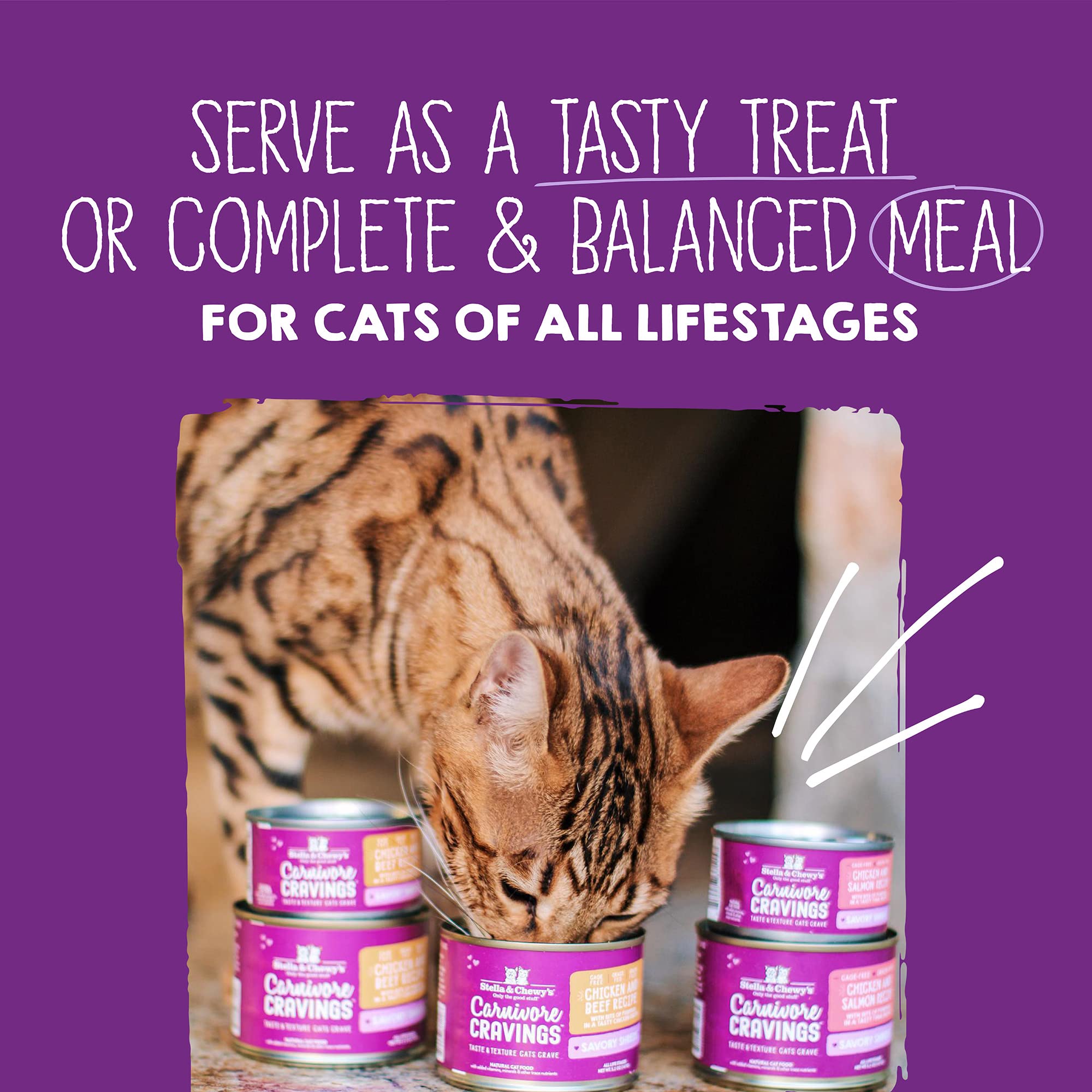 Stella & Chewy's Carnivore Cravings — servi comme repas complet ou topping sur croquettes