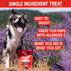 Stella & Chewy's: friandise lyophilisée prête à offrir pour chien.