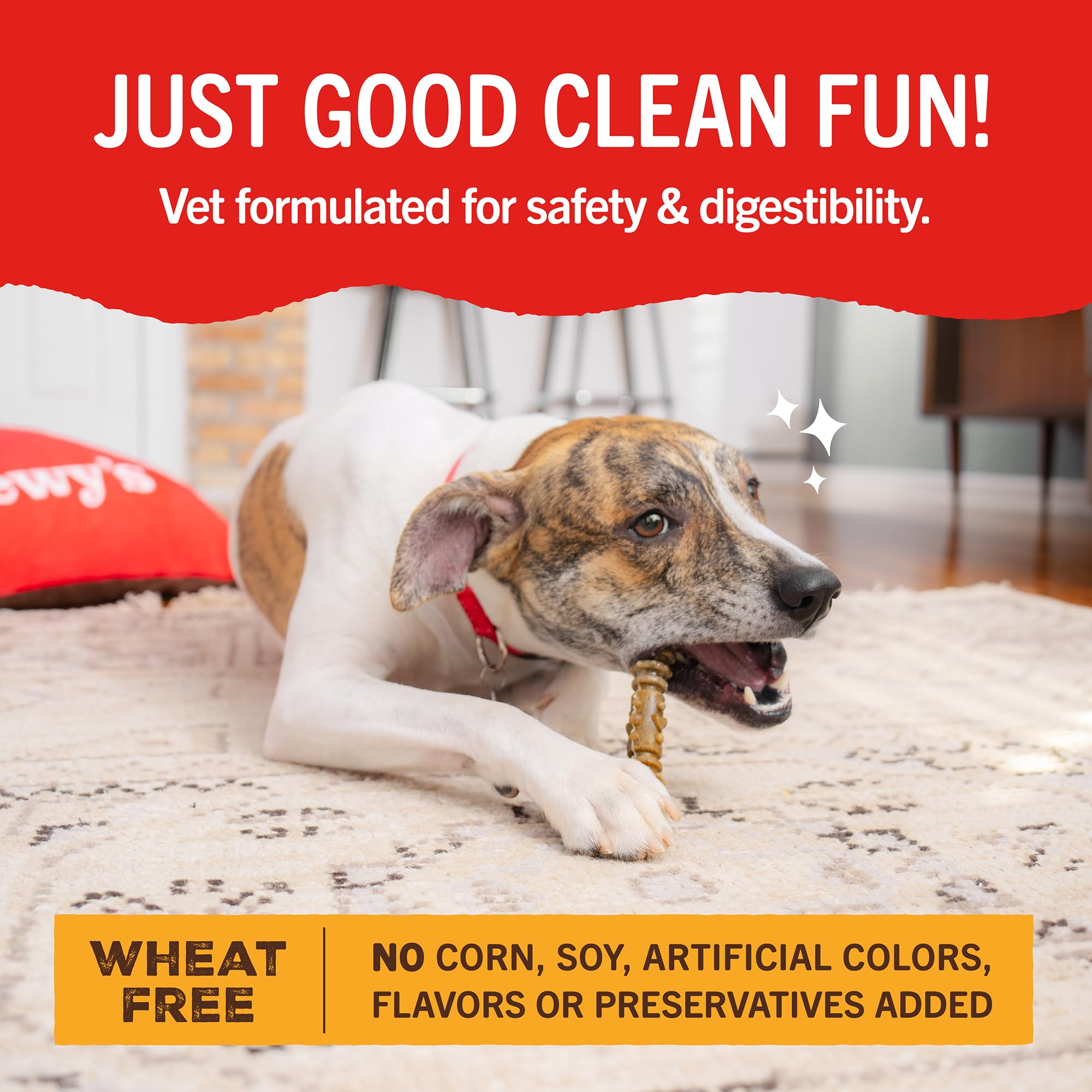 Stella & Chewy's Dental Delights design interactif stimulant l'attention lors de la mastication