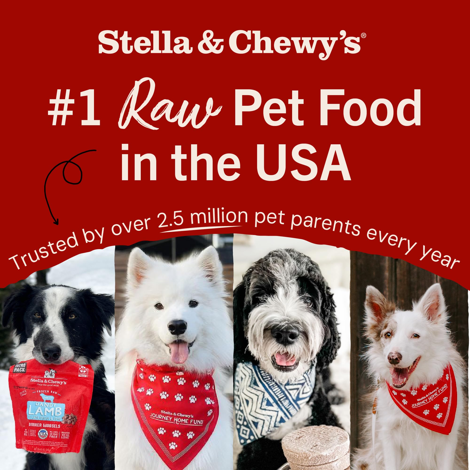 Stella et Chewy's garniture pour repas simplifiée et appétit durable
