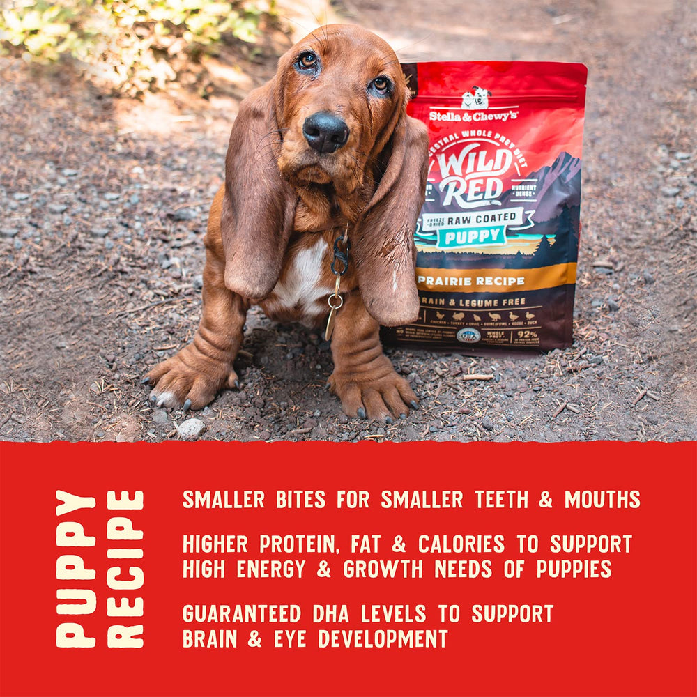 Stella & Chewy's glucosamine chondroïtine pour articulations en croissance.