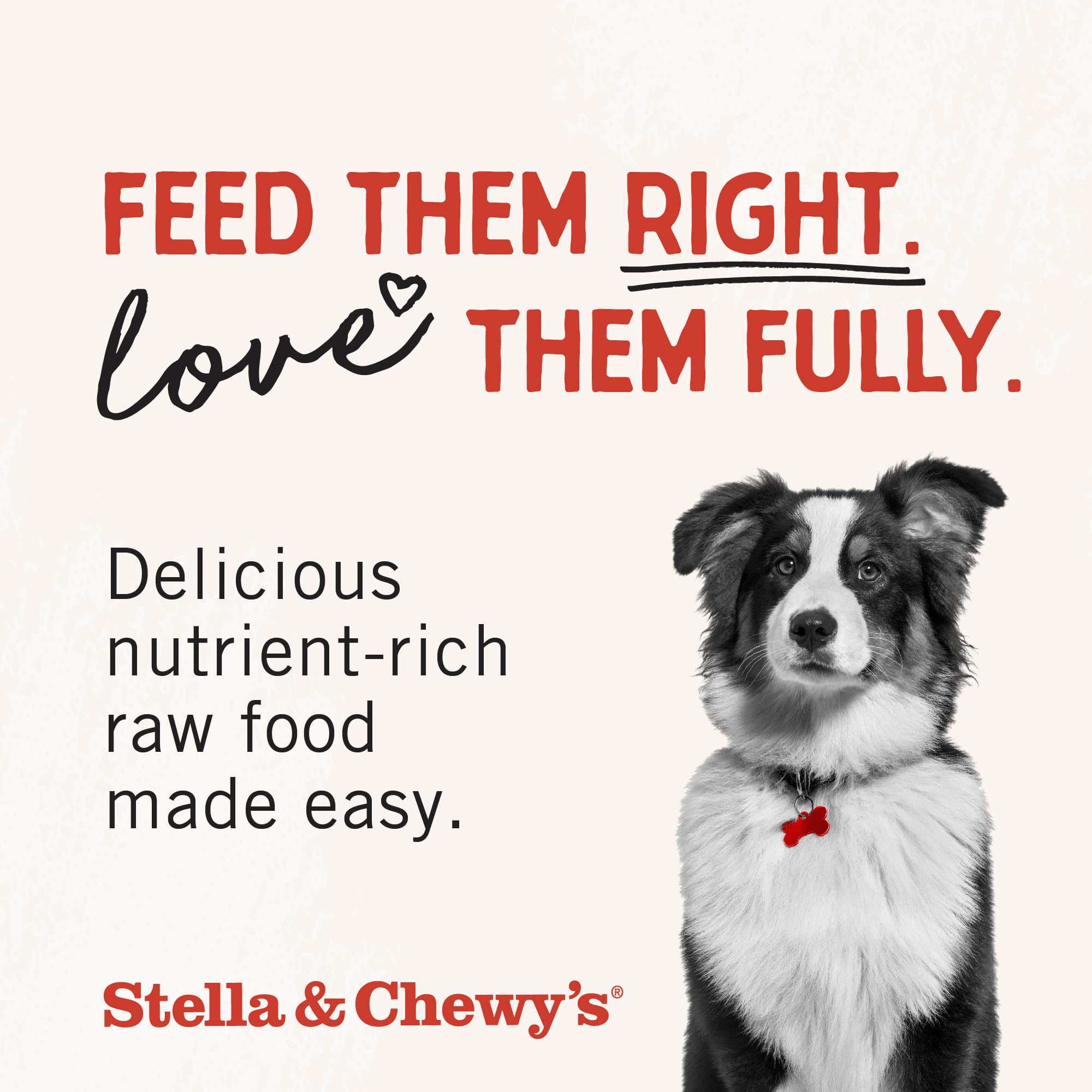 Stella & Chewy's idéal pour chien difficile avec cœur de poulet.