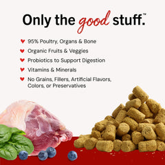Stella & Chewy's Probiotiques pour digestion — soutien intestinal