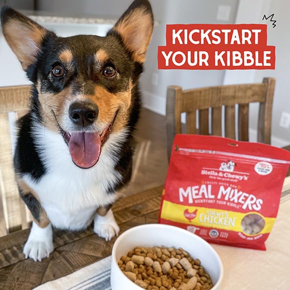 Stella & Chewy's probiotiques pour soutien digestif potentiel.