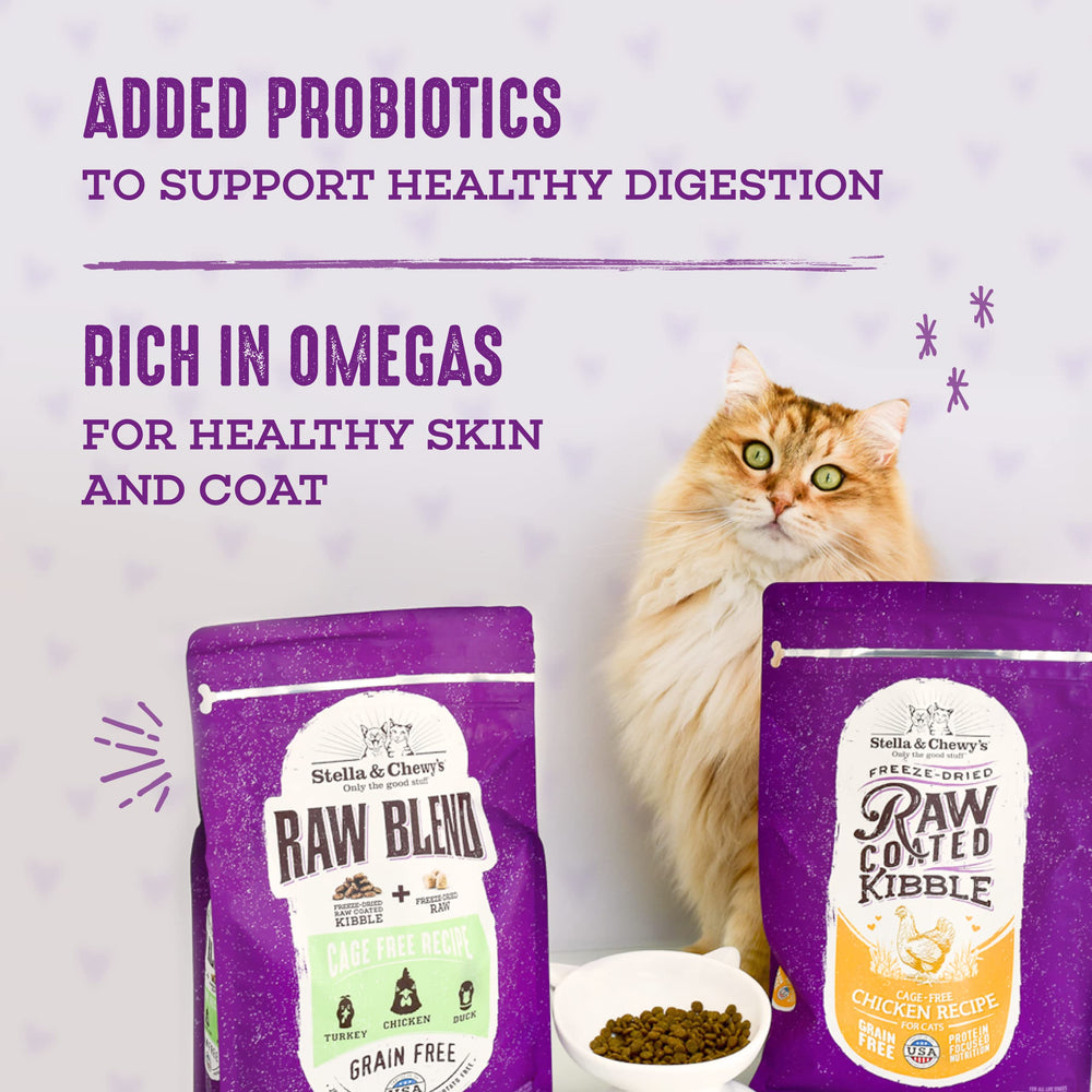Oméga et huile de saumon pour peau et pelage sains chez le chat.