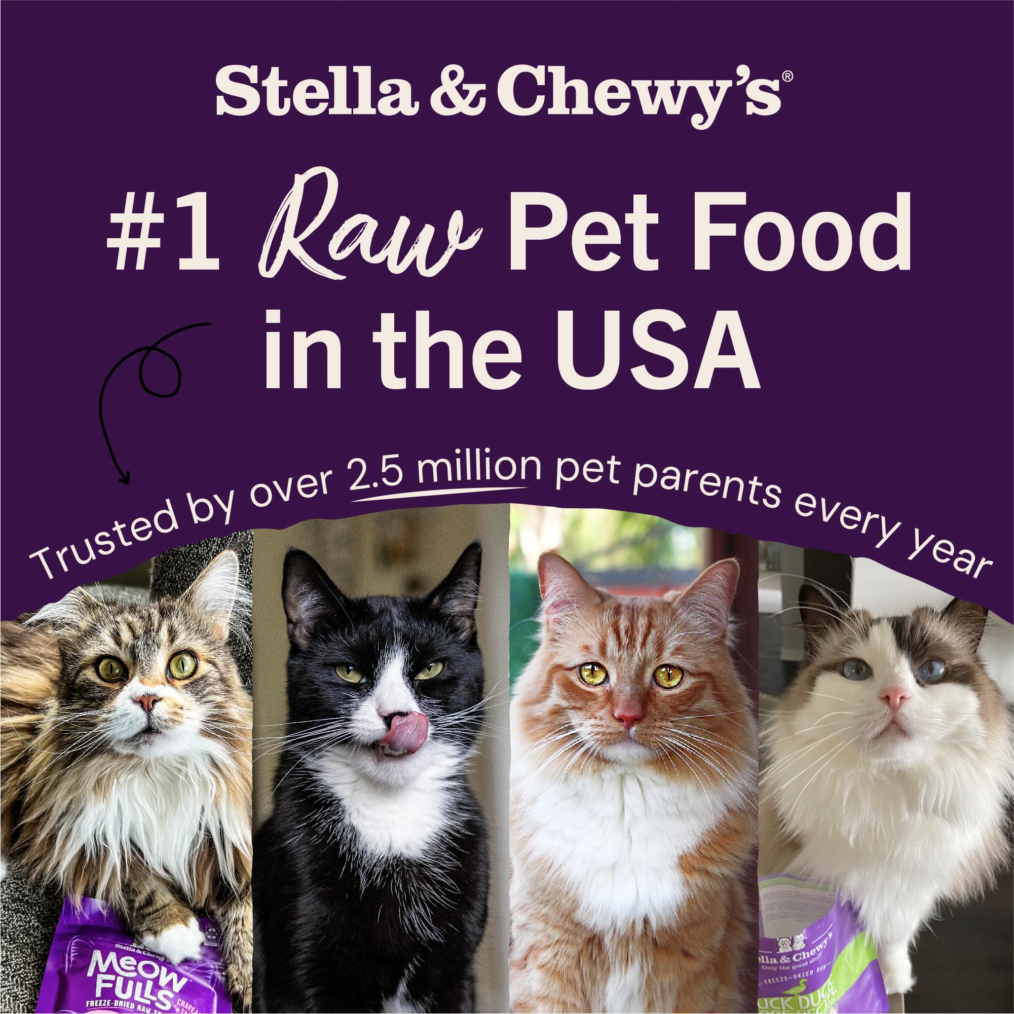 Avec Stella & Chewy's Magical Dinner Dust pour varier aliments.