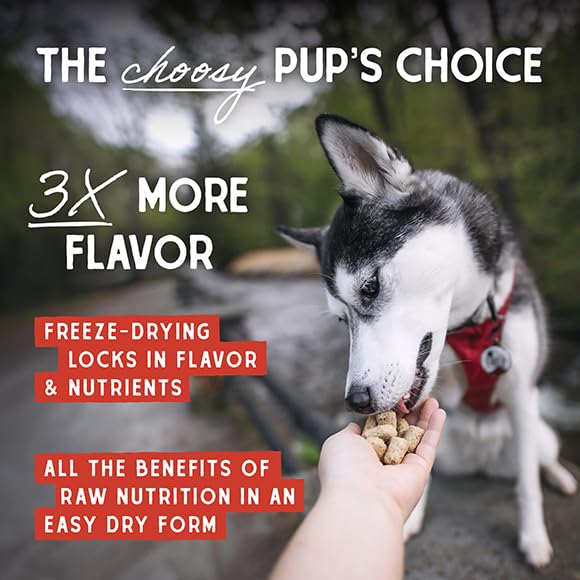 Stella & Chewy's protéines élevées, format pratique sans préparation.