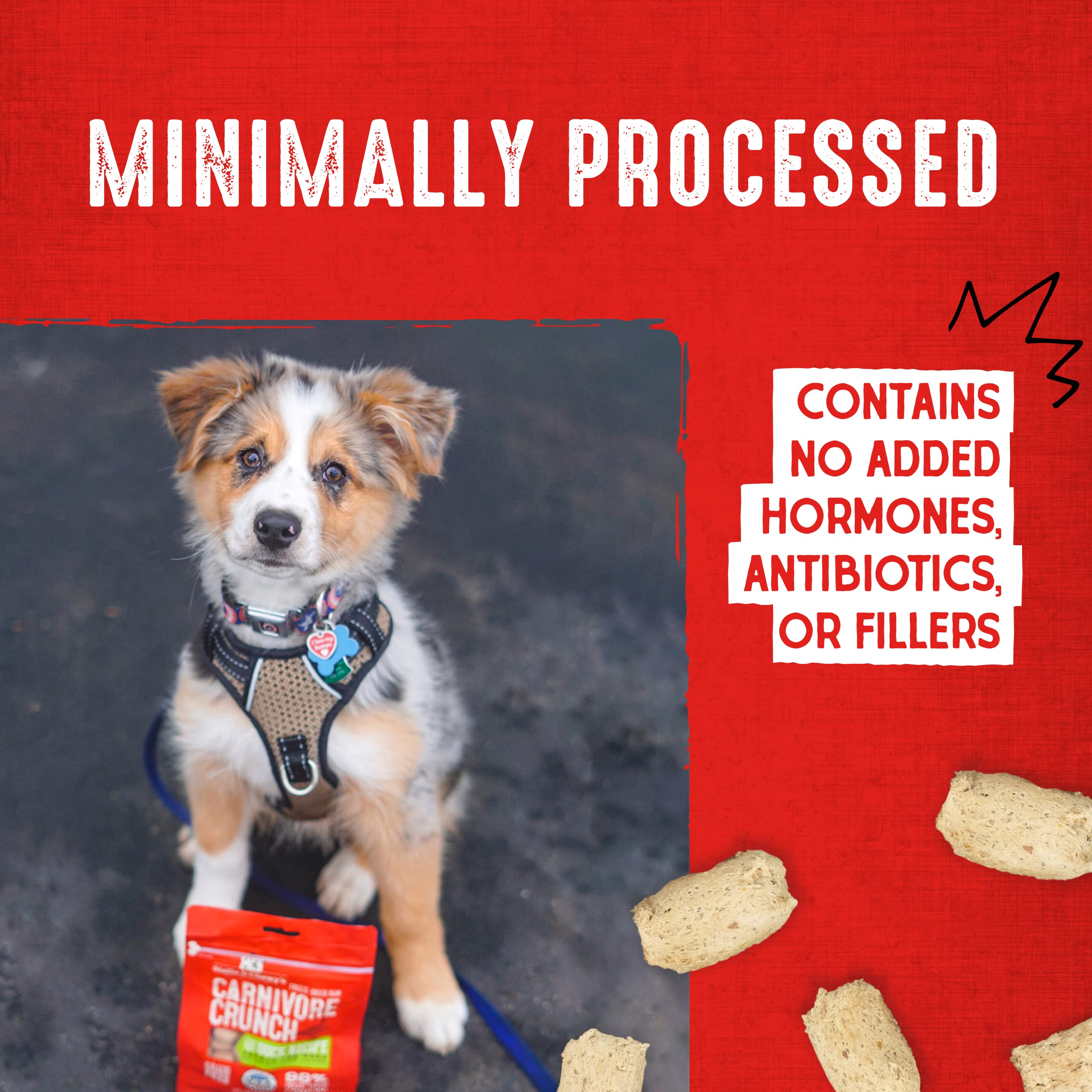 Stella & Chewy's sac pratique de 3,25 oz, idéal pour sorties et entraînement.