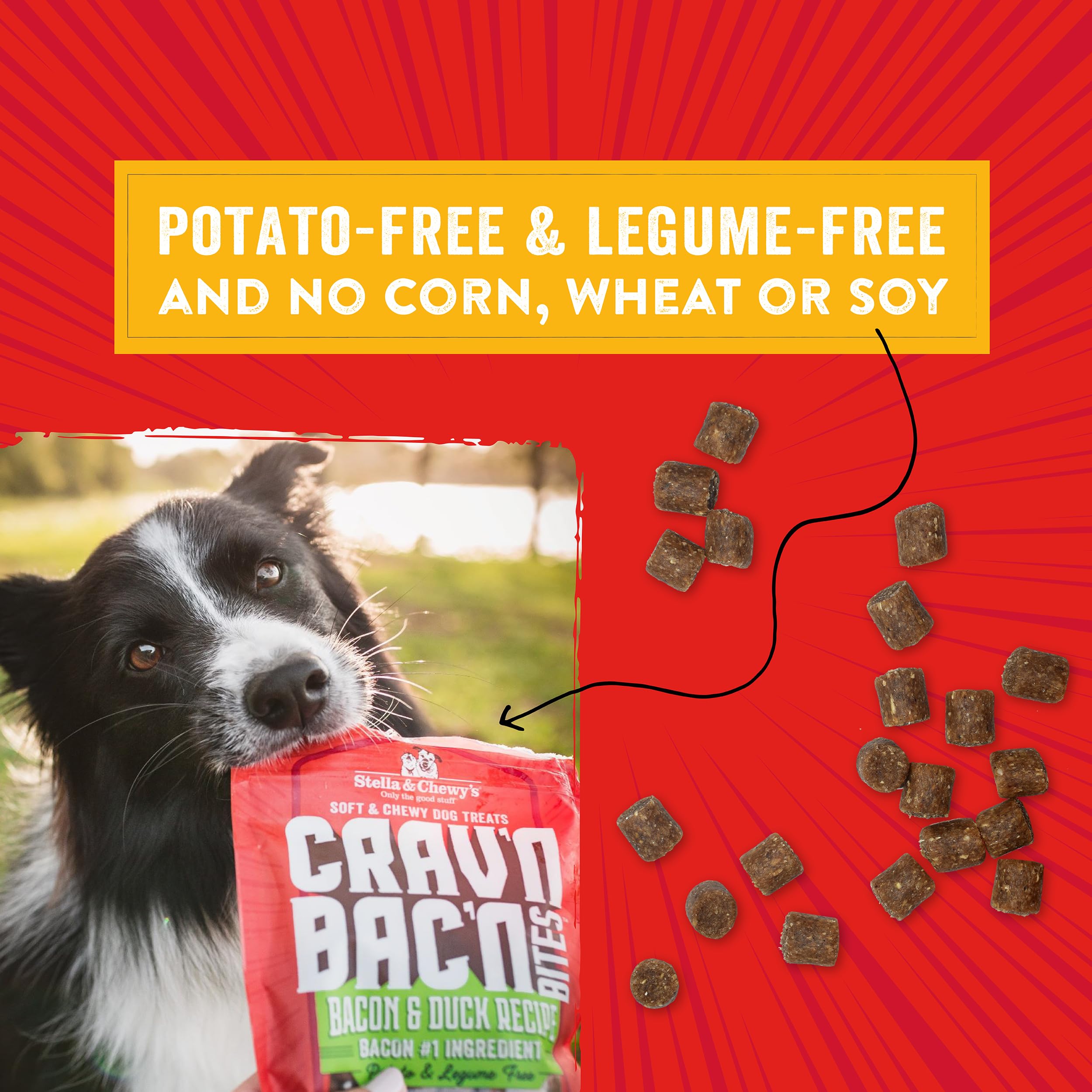 Stella & Chewy's Crav'n Bac'n – recette sans pomme de terre, digestion plus facile.
