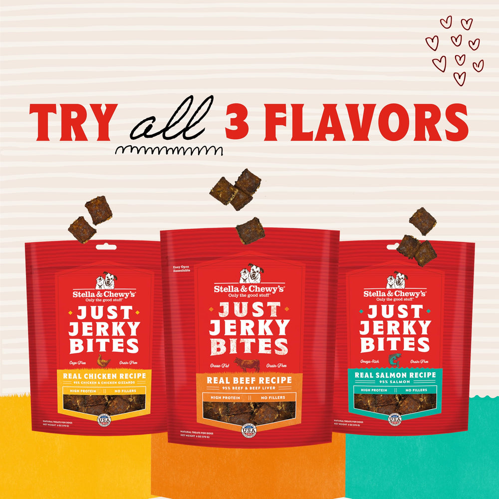 Stella & Chewy's saumon – saveur poisson appréciée par les chiens