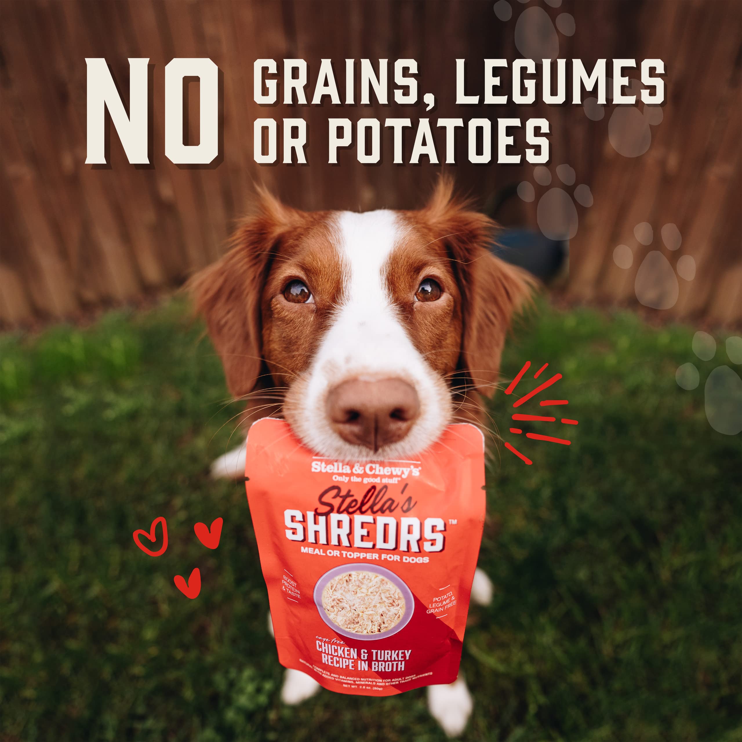 Shredrs sans grains, option adaptée pour chiens sensibles