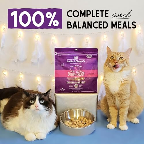 Taurine soutient le cœur et la vision du chat.