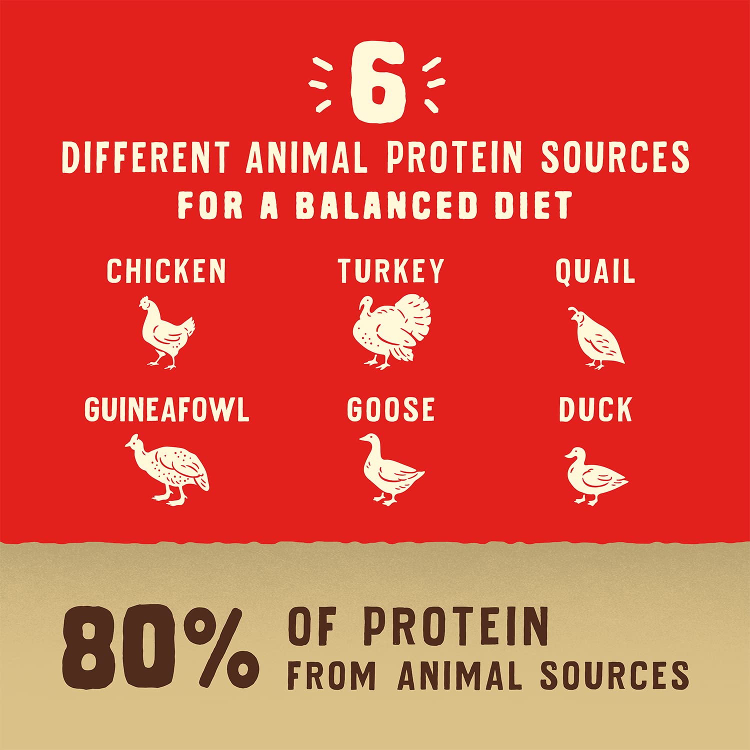 Grains complets orge et avoine pour une digestion facile.