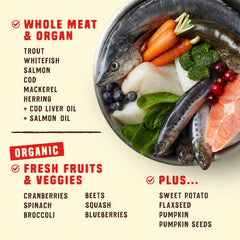 Recette Océan avec six poissons pour varier les protéines et éviter la volaille.