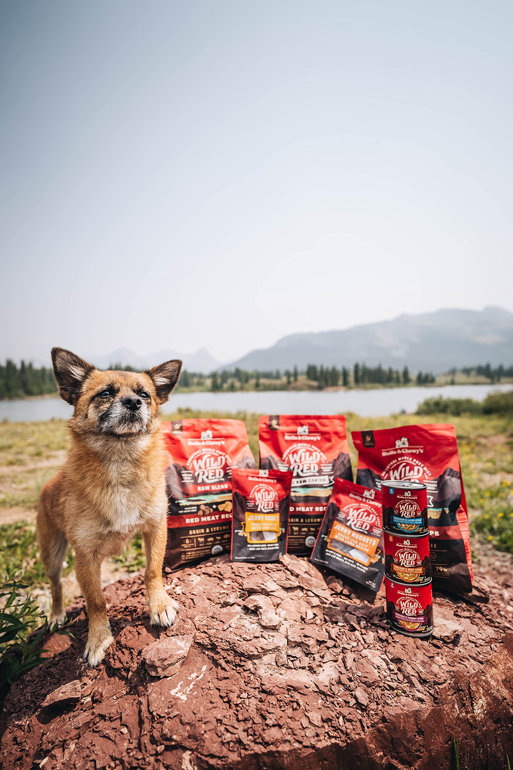 Stella & Chewy's Wild Red – sans additifs artificiels pour alimentation naturelle